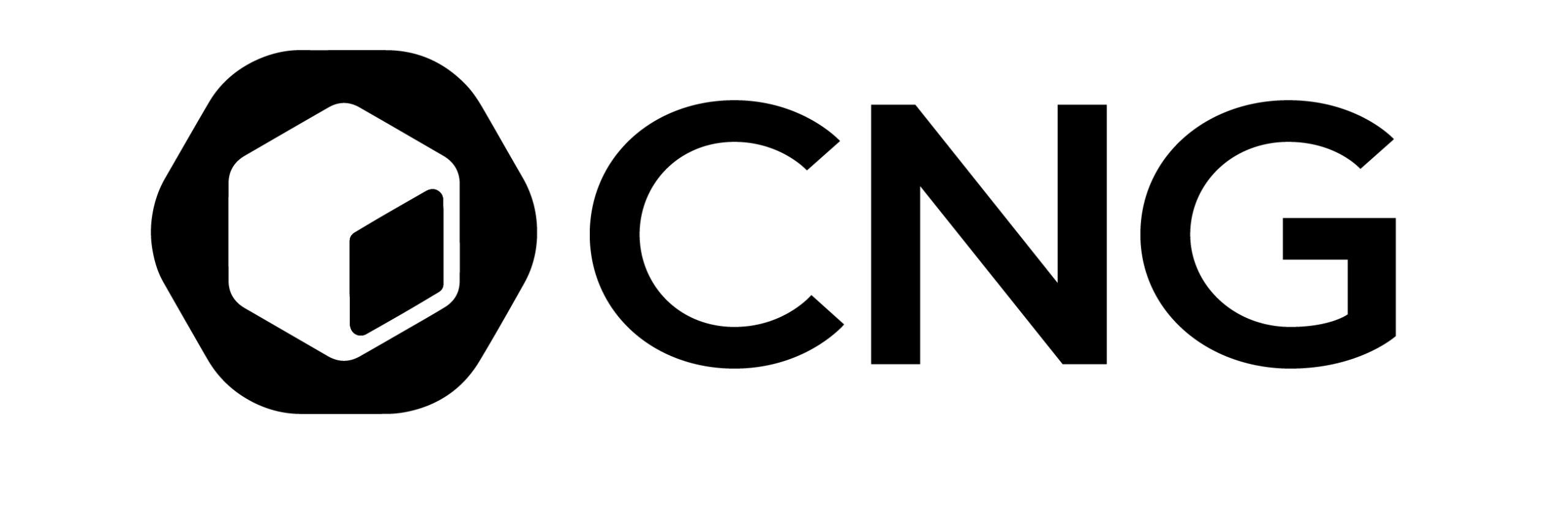 logo de sistema cng